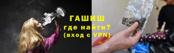 гашик Козельск