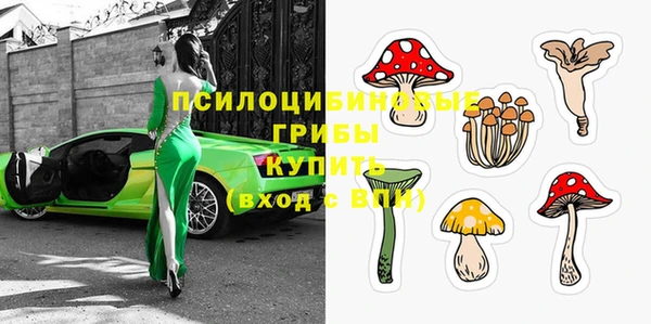 первитин Абинск
