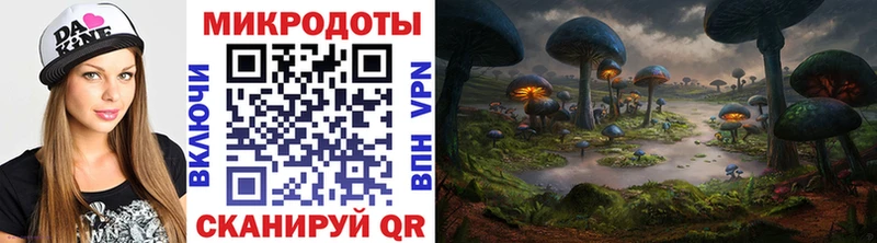 Псилоцибиновые грибы Psilocybe  Тюмень 