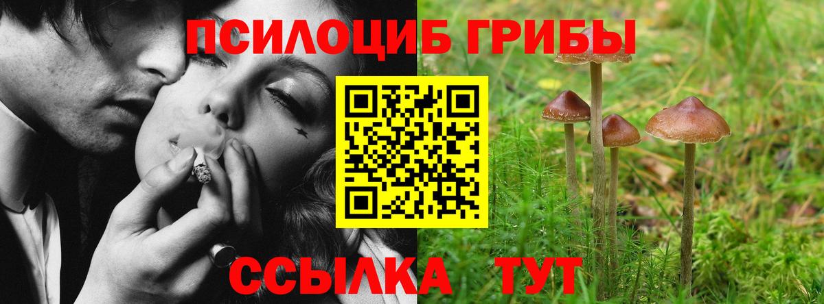 Галлюциногенные грибы Magic Shrooms  Вход с VPN  Тюмень 